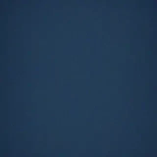 light navy blue background