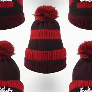 beanie png