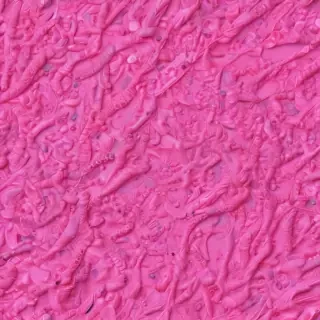 neon pink bg