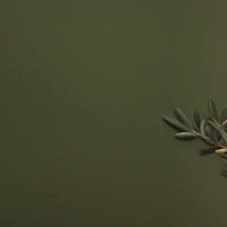 olive green background
