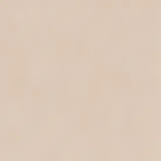 classy neutral iphone wallpaper