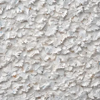 white background wallpaper
