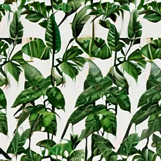 plant wallpaper