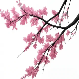 branch png