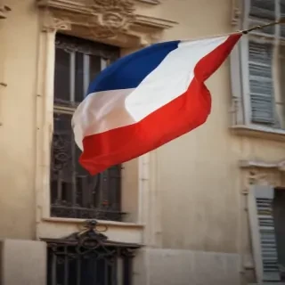 french flag