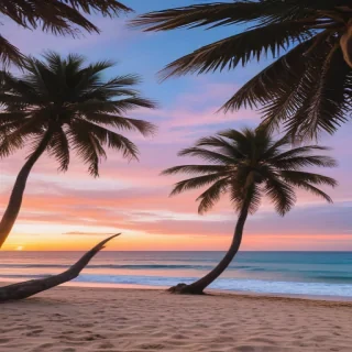 aesthetic beach pictures