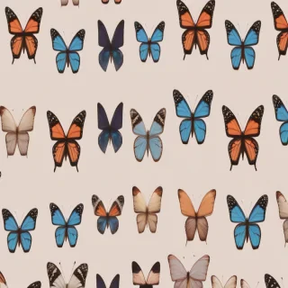 butterflies aesthetic
