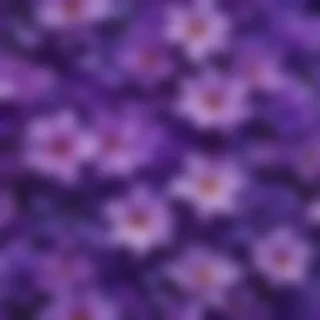 cute backgrounds purple