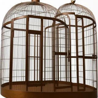 cage png