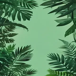 green backgrounds aesthetic