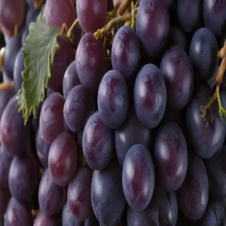 grapes png