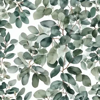 eucalyptus clipart black and white