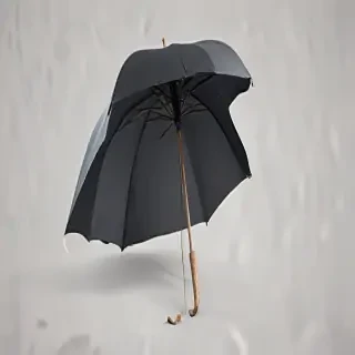 umbrella png