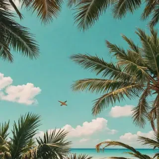 summer iphone wallpaper