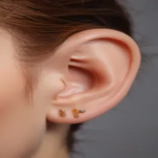 ear png