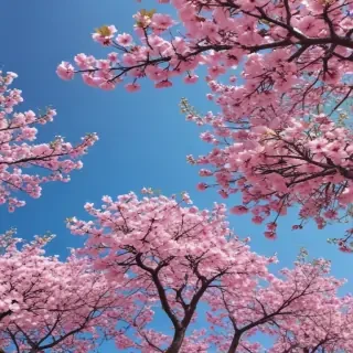 spring iphone background