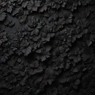 black wallpaper for iphone