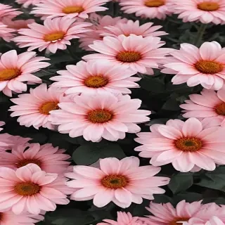 cute aesthetic wallpapers flowers