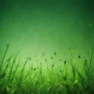 green background for iphone