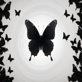 black butterfly background