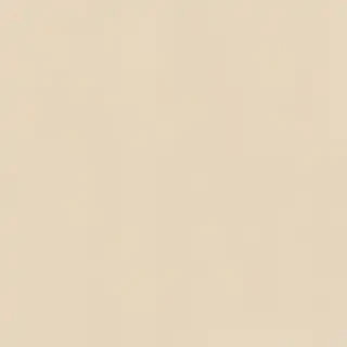 plain cream background