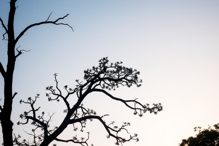 Create a high-resolution image of a black silhouette of a tree with a clear sky background, captured with a DSLR camera at f/8 aperture, ISO 100, 50mm lens, 1/250 sec shutter speed, in a wide-angle view.