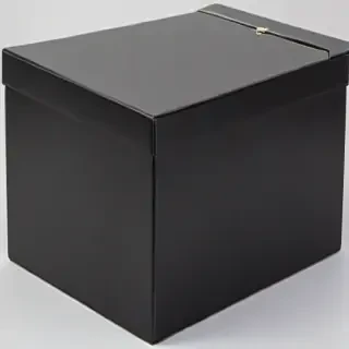 black box image