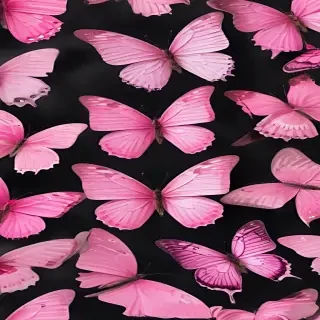 images of pink butterflies