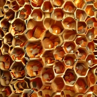 honeycomb png