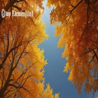 fall png