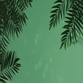 green background aesthetic