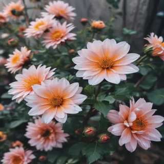 aesthetic floral iphone wallpaper