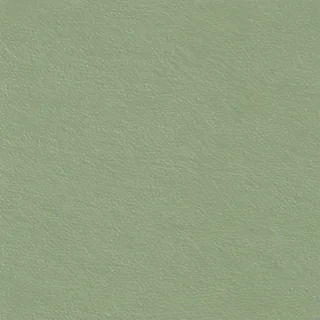 sage green background