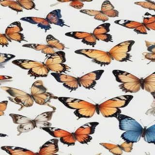 drawing butterflies