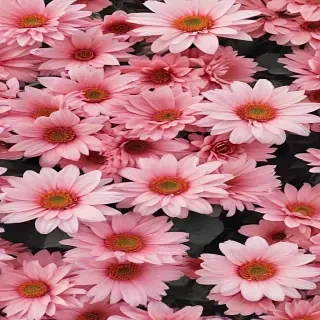 cute aesthetic wallpapers flowers