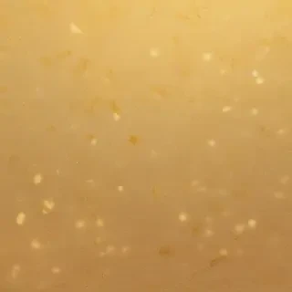iphone wallpaper gold
