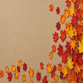 fall leaves png transparent