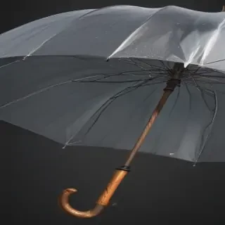 umbrella transparent background