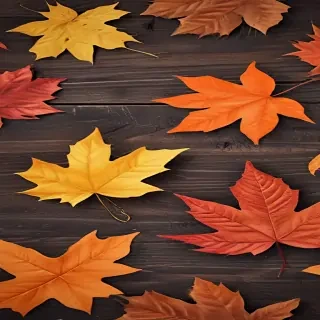 iphone wallpaper fall