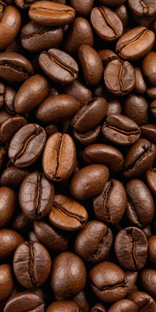 coffee bean png
