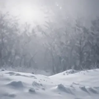 snow overlay png