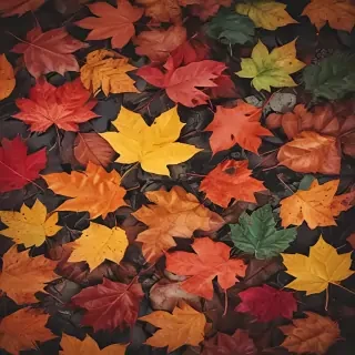 autumn leaves iphone wallpaper