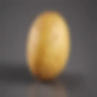 potato transparent background