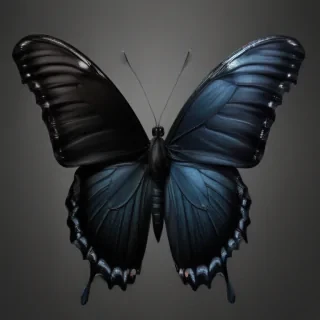 black butterfly png