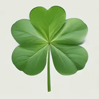clover png