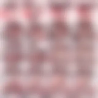 aesthetic png transparent