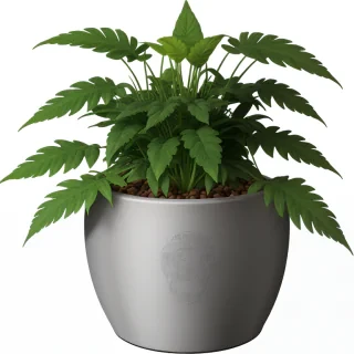 pot png