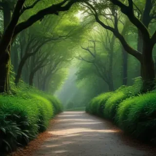 aesthetic background green