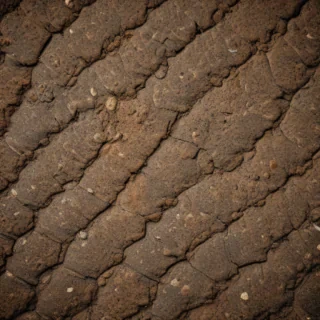 retro texture