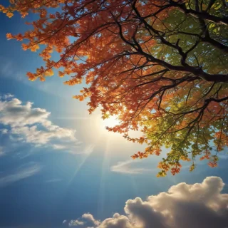 iphone wallpapers happy